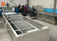 産業野菜洗浄装置高性能800のKg/Hの容量の保存水