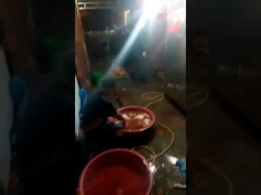 Poultry hair removal machine